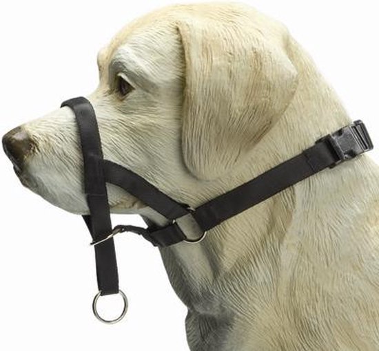 Foto: Beeztees dog control halsband hond zwart m snuitomtrek 32 cm