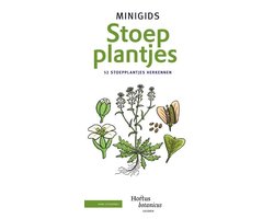 Minigids  -   Minigids Stoepplantjes