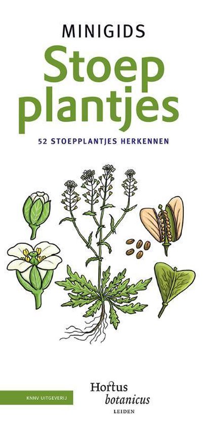 Minigids  -   Minigids Stoepplantjes