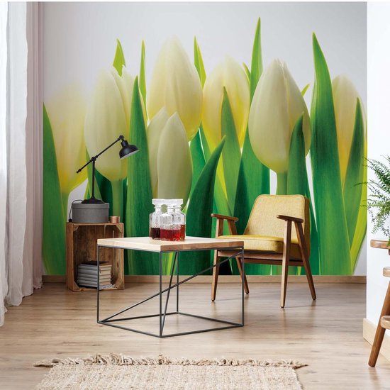 Papier peint Fleurs Tulipes Nature | XXXL - 416 cm x 254 cm | Polaire 130g / m2