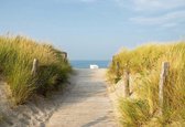 Fotobehang - Vlies Behang - Strandpad tussen de Duinen naar Zee - 368 x 254 cm