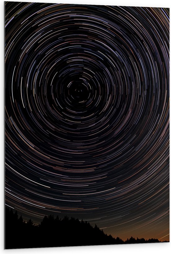 Dibond - Grote Lichtcirkels in de Lucht boven Rij Bomen - 80x120 cm Foto op Aluminium (Met Ophangsysteem)