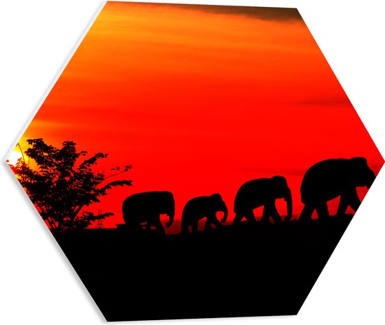 PVC Schuimplaat Hexagon - Silhouet van Familie Olifanten Lopend over Afrikaans Landschap - 50x43.5 cm Foto op Hexagon (Met Ophangsysteem)