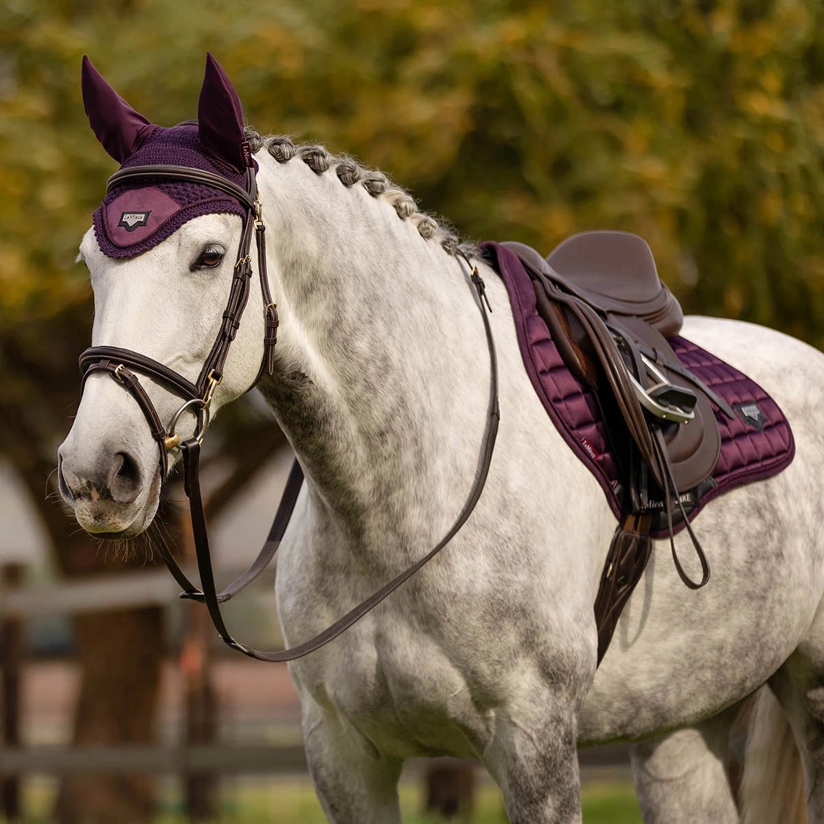 Tough 1 EquiRoyal Coussin de selle carré en coton matelassé confortable pour chevaux, violet