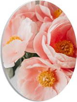 PVC Schuimplaat Ovaal - Roze Bloemenboeket - 21x28 cm Foto op Ovaal (Met Ophangsysteem)