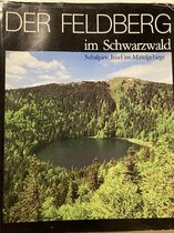 Der Feldberg in Schwarzwald