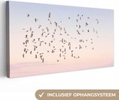 Canvas Schilderij Vogels - Zee - Lucht - Natuur - Zomer - 40x20 cm - Wanddecoratie