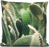 Sierkussen - Cactus