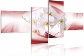 Schilderij - Orchideeën op zachte roze achtergrond , wit , 4 luik