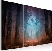 Schilderij - Rand van het Bos, 3luik , bruin blauw , premium print op canvas