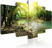 Schilderij - Rivier door het bos, 5luik, groen/bruin , premium print op canvas