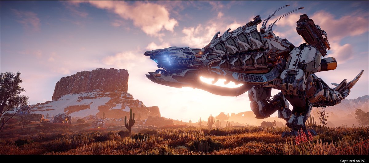 Horizon zero deals dawn complete edition