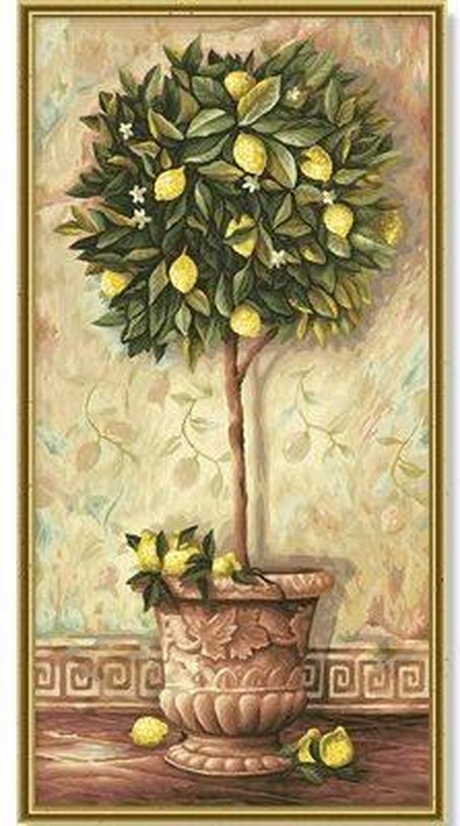 Citrus Limonum