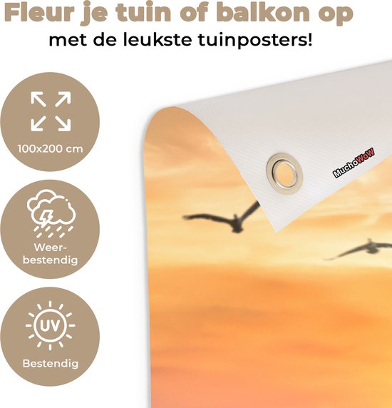 Affiche clôture Coucher de soleil - Mer - Chemin - Herbe - Dune - Vogels - 100x200 cm - Toile jardin