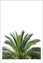 Palmtree Top (21x29,7cm) - Wallified - Tropisch - Poster - Print - Wall-Art - Woondecoratie - Kunst - Posters