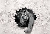 Peinture murale Tiger 3D Hole In Brick Wall | V8 - 368 cm x 254 cm | Polaire 130gr / m2