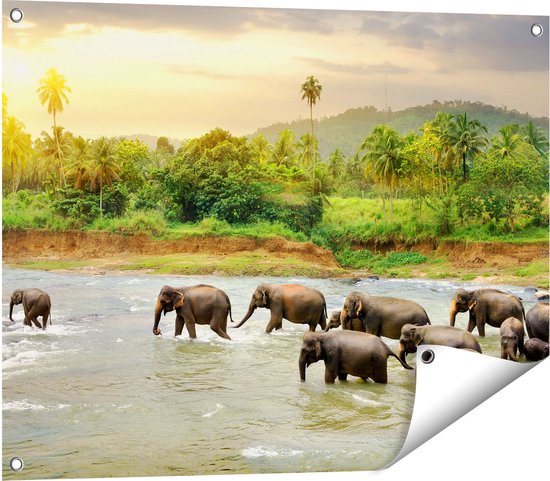 Lot De 200 Vis Auto-perceuses Alésoir – Tête Phillips Plate 12-24 X 2-1/2 Pouces – Revêtement ACQ