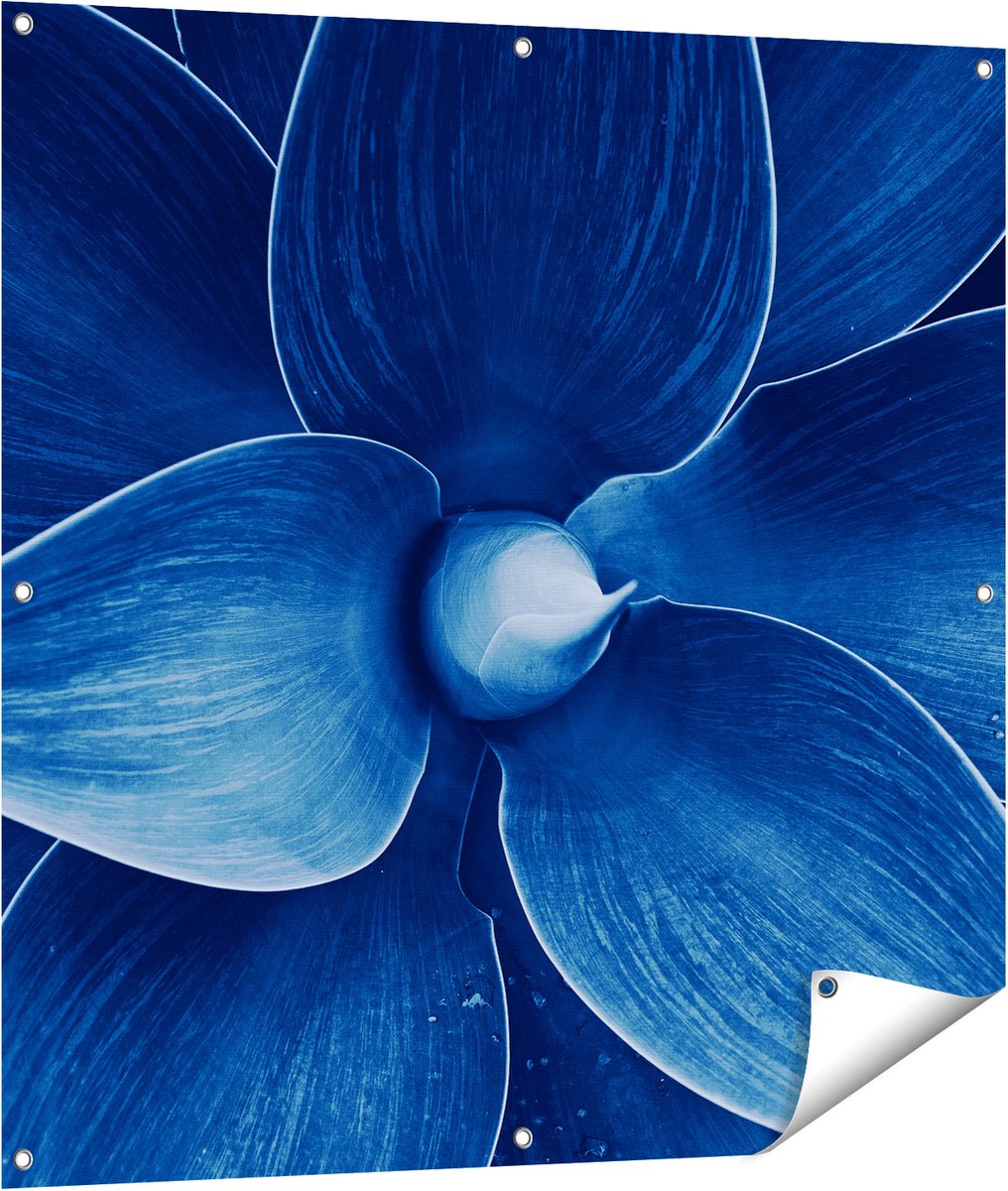 Gards Tuinposter Blauwe Agave Plant - Bloem - 100x100 cm - Tuindoek - Tuindecoratie - Wanddecoratie buiten - Tuinschilderij Multikleur