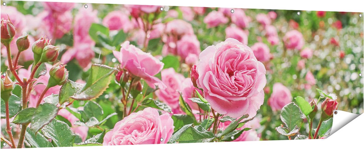 Gards Tuinposter Roze Rozen Bloemenveld - 210x70 cm - Tuindoek - Tuindecoratie - Wanddecoratie buiten - Tuinschilderij Multikleur