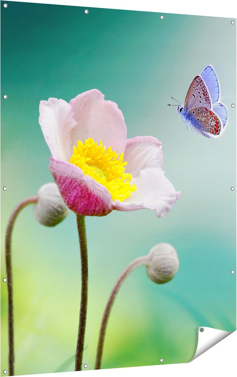 Gards Tuinposter Roze Anemoon Bloem met een Blauwe Vlinder - 120x160 cm - Tuindoek - Tuindecoratie - Wanddecoratie buiten - Tuinschilderij Multikleur