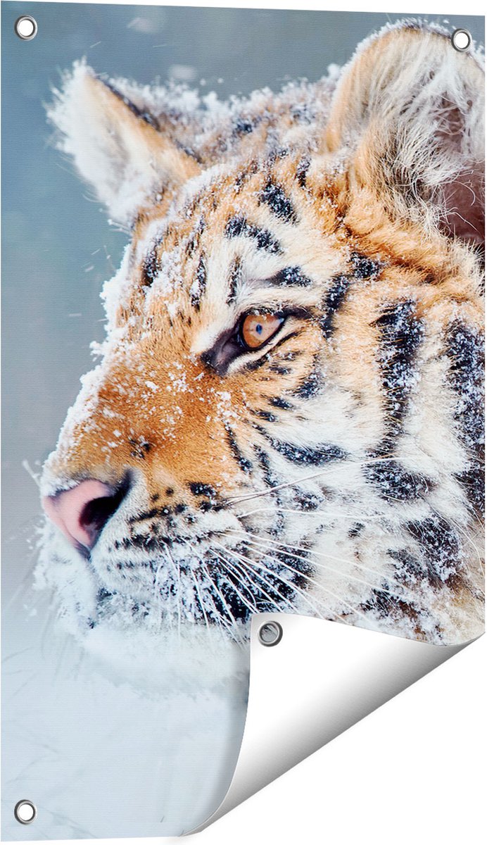 Gards Tuinposter Tijger tijdens de Sneeuw - 40x60 cm - Tuindoek - Tuindecoratie - Wanddecoratie buiten - Tuinschilderij Multikleur