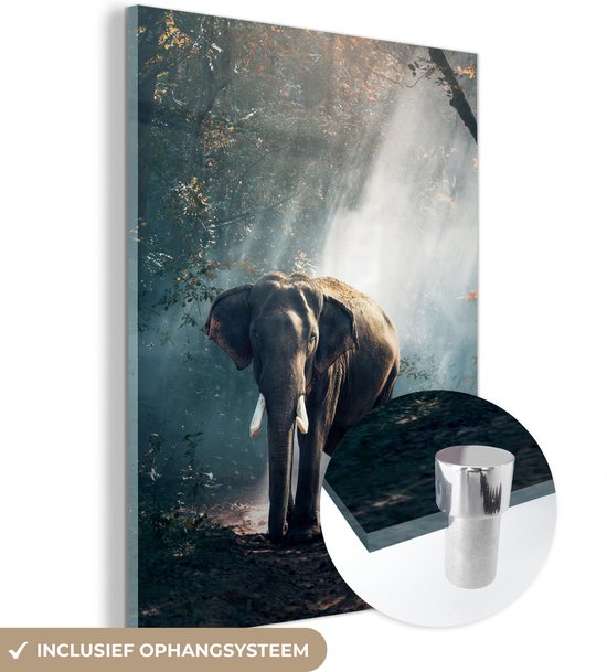 Glasschilderij olifant - Wilde dieren - Bos - Natuur - Muurdecoratie glas - Woondecoratie - 60x80 cm - Schilderij glas - Wanddecoratie slaapkamer - Glasplaat
