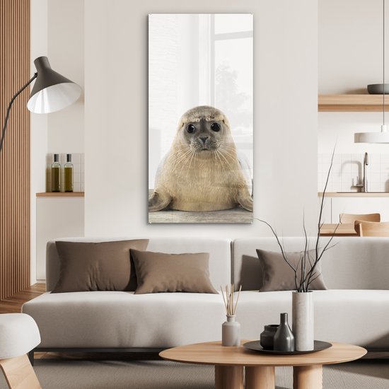 MuchoWow® Peinture sur Verre - Phoque - Animaux - Enfant - Garçons - Filles - Enfants - 60x120 cm - Peintures sur Verre Peintures - Photo sur Glas