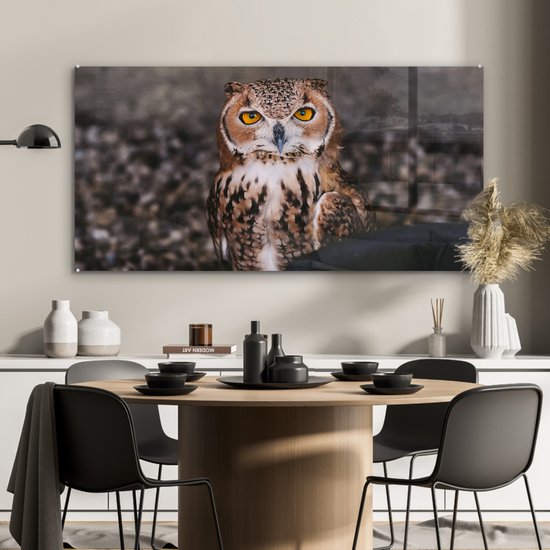 MuchoWow® Peinture sur verre - Chouette brune regardant directement dans l'appareil photo - 120x60 cm - Peintures sur verre acrylique - Photo sur Glas