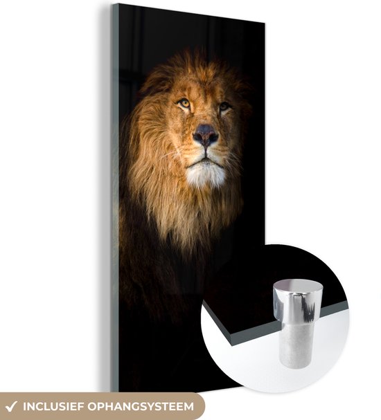 Peinture sur Verre - Lion - Lumière - Zwart - Portrait - 40x80 cm - Peintures sur Verre Peintures - Photo sur Glas