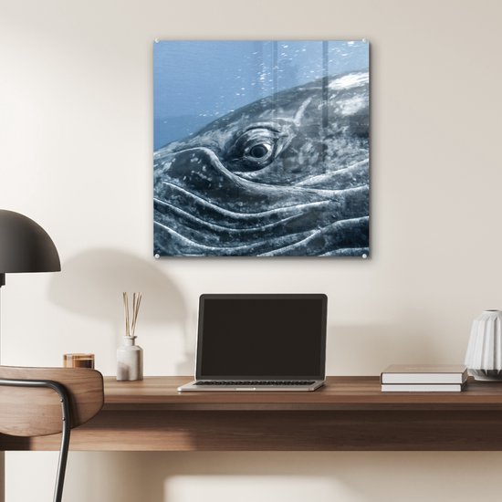 MuchoWow® Glasschilderij 50x50 cm - Schilderij acrylglas - Water - Dieren - Bultrug - Foto op glas - Schilderijen