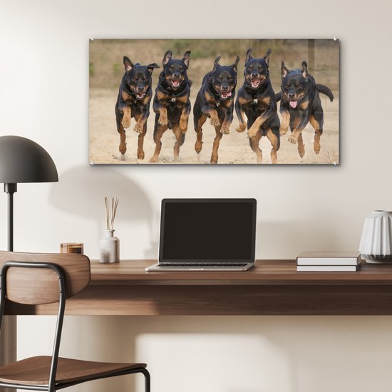Peinture sur Verre - Rottweilers courant dans une rangée - 80x40 cm - Peintures sur Verre Peintures - Photo sur Glas