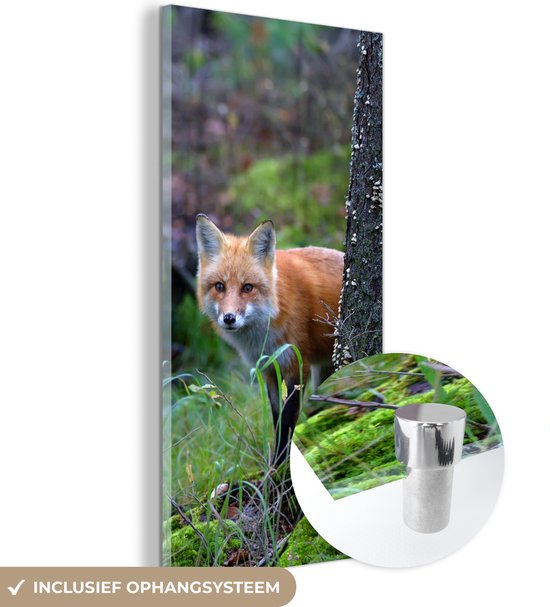 MuchoWow® Glasschilderij 80x160 cm - Schilderij acrylglas - Vos - Boom - Bosdier - Herfst - Foto op glas - Schilderijen