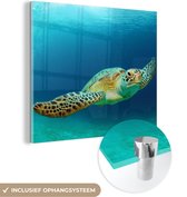 MuchoWow® Glasschilderij 90x90 cm - Schilderij acrylglas - Close-up foto van groene zeeschildpad - Foto op glas - Schilderijen