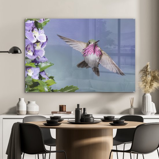 Un colibri calliope avec des fleurs violettes Plexiglas 90x60 cm - Tirage photo sur Glas (décoration murale plexiglas)