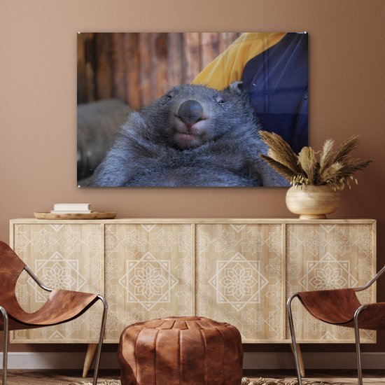 MuchoWow® Peinture sur verre 120x80 cm - Peinture sur verre acrylique - Gros plan wombat endormi - Photo sur verre - Peintures