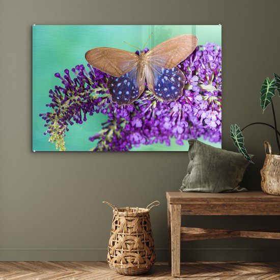 Papillon exotique sur le buisson de papillons Plexiglas 90x60 cm - Tirage photo sur Glas (décoration murale en plexiglas)