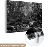 MuchoWow® Glasschilderij 90x60 cm - Schilderij acrylglas - Regenwoudkreek - zwart wit - Foto op glas - Schilderijen
