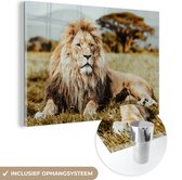 MuchoWow® Glasschilderij 180x120 cm - Schilderij acrylglas - Leeuwen - Wild - Afrika - Foto op glas - Schilderijen