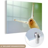 MuchoWow® Glasschilderij 30x20 cm - Schilderij acrylglas - Slak van onderaf - Foto op glas - Schilderijen