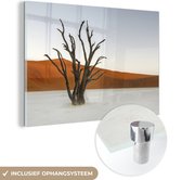 MuchoWow® Glasschilderij 60x40 cm - Schilderij acrylglas - Camelthorn boom bij de Afrikaanse Sossusvlei in Namibië - Foto op glas - Schilderijen