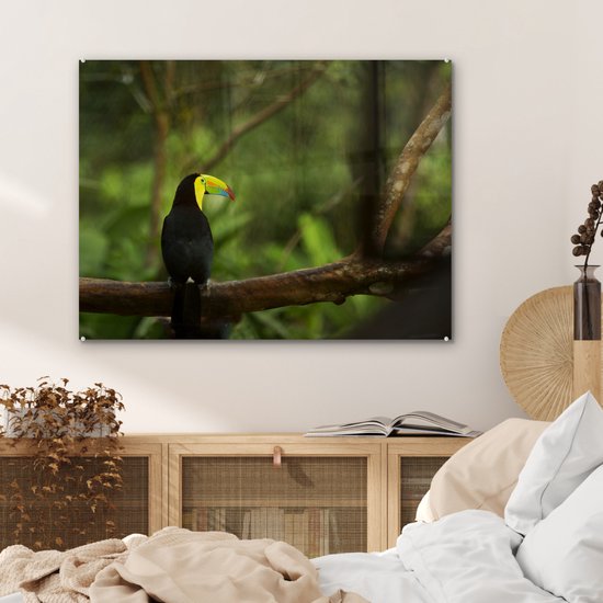MuchoWow® Peinture sur verre 80x60 cm - Peinture sur verre acrylique - Dos d'un toucan sur une branche - Photo sur verre - Peintures