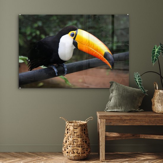 MuchoWow® Peinture sur verre 120x80 cm - Peinture sur verre acrylique - Toucan sur une branche noire au Brésil - Photo sur verre - Peintures