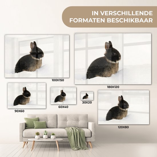 MuchoWow® Peinture sur verre 150x100 cm - Peinture sur verre acrylique - Lapin - Neige - Hiver - Photo sur verre - Peintures