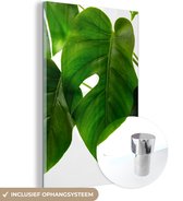 MuchoWow® Glasschilderij 20x30 cm - Schilderij acrylglas - Een groen en botanisch blad op een witte achtergrond - Foto op glas - Schilderijen