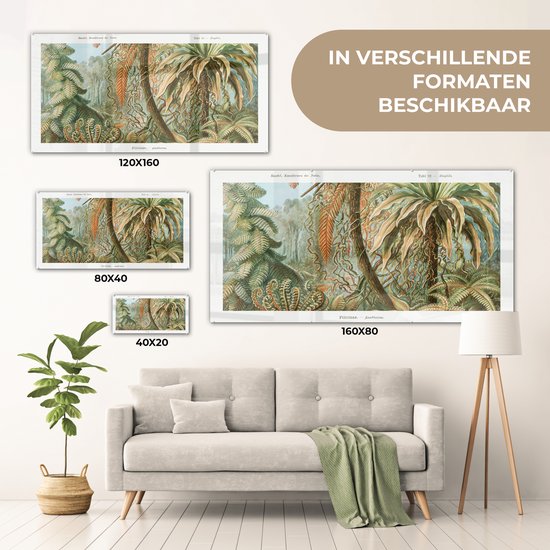 MuchoWow® Peinture sur Verre - Vintage - Maîtres Anciens - Fougères - Plantes - Nature - 120x60 cm - Peintures sur Verre Acrylique - Photo sur Glas