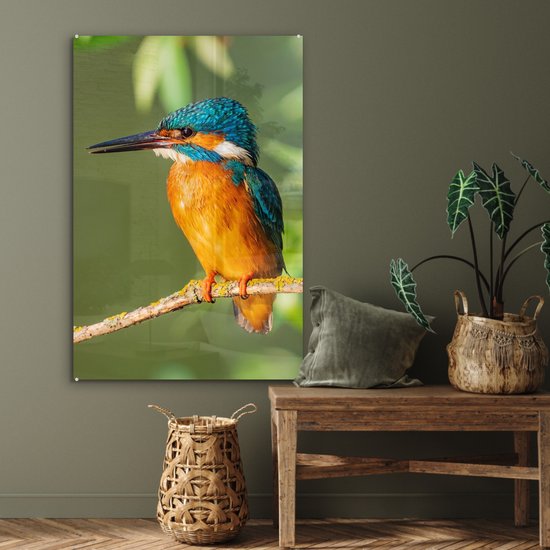 Peinture sur verre - Photo sur verre - Vogel - Martin-pêcheur - Branche - Feuilles - 60x90 cm - Verre acrylique - Décoration murale murale - Peinture sur verre oiseaux - Peinture sur verre - Peinture sur verre animaux - Peintures de salon