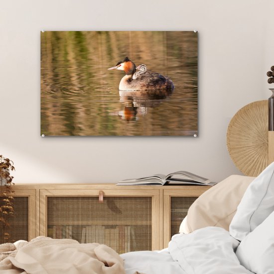 Peinture sur verre - Grèbe nage dans l'eau avec ses petits - 60x40 cm - Peintures sur Verre Peintures - Photo sur Glas