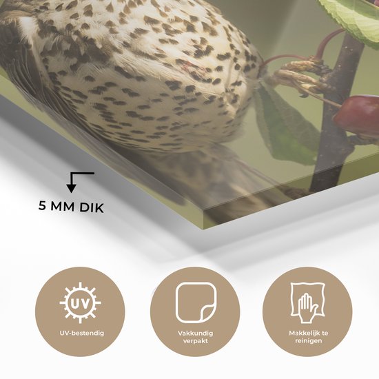 MuchoWow® Peinture sur verre - Vogel sur une branche - 120x90 cm - Peintures sur verre acrylique - Photo sur Glas