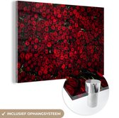 MuchoWow® Glasschilderij 150x100 cm - Schilderij acrylglas - Bloemen - Rozen - Rood - Foto op glas - Schilderijen