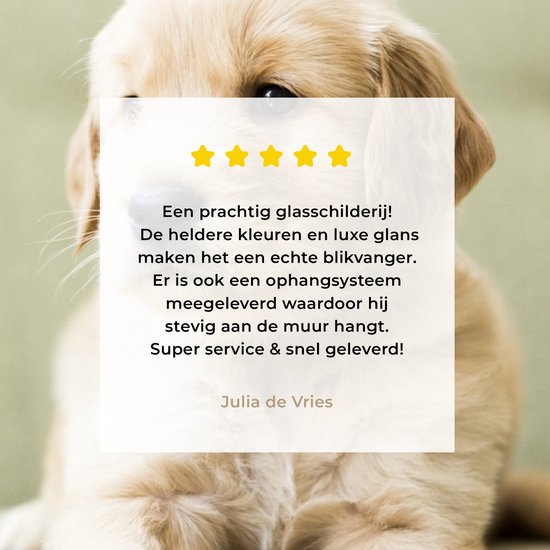 Chiot Golden Retriever allongé sur le canapé Plexiglas 30x20 cm - petit - Tirage photo sur Glas (décoration murale en plexiglas)